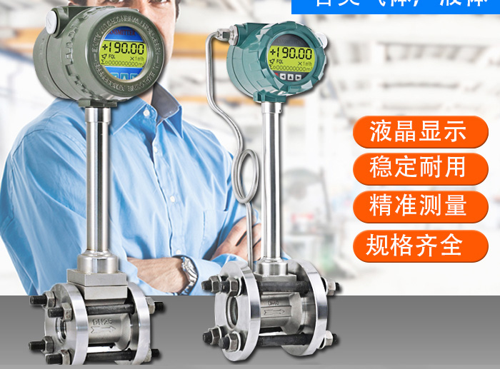 蒸汽涡街流量计