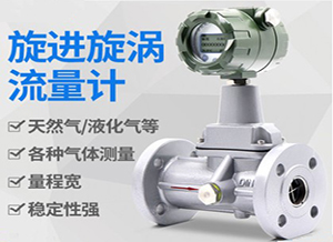 燃气旋进旋涡流量计