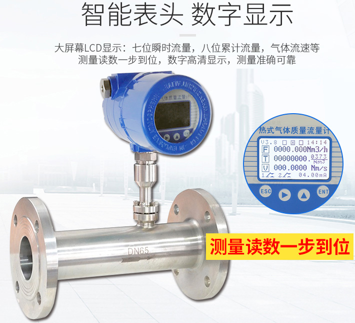氢气热式气体质量流量计液晶表头显示图